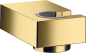 Preview: Polished Gold Optic