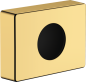 Preview: Polished Gold Optic