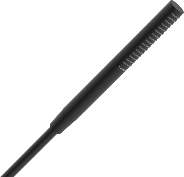 Hansgrohe Pulsify S Stabhandbrause 100 1jet EcoSmart